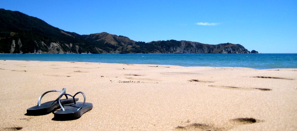 Anura Bay, East Coast, New Zealand- Credit P Jones